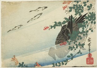 Trout, duck, and bush clover, c. 1840.