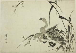 Wild Geese and Reeds, c. 1810.