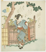 No. 3: Silent Flower (Mono iwanu hana), from the series "A Comparison of Flowers (Hana awase)", late 1820s.