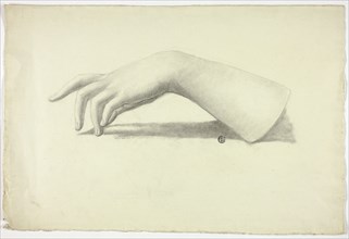 Left Forearm and Hand, n.d.