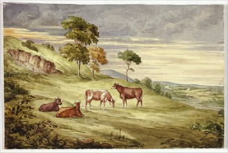 Deer Park, possibly Kilkenny, 1843.