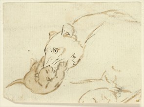 Five Sketches of Lions: Lioness with Cub, n.d.