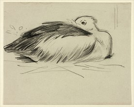 Sketch of Nesting Stork, n.d.