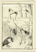 Four Birds in Landscape, n.d.