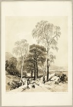Birch and Oak, from The Park and the Forest, 1841.