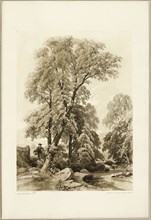 Elm and Birch, from The Park and the Forest, 1841.