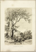Beech and Oak (Frontispiece), from The Park and the Forest, 1841.
