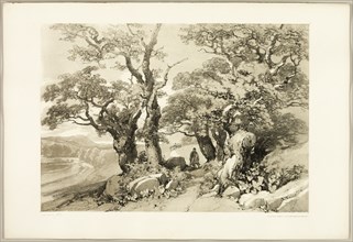 Old Oaks, from The Park and the Forest, 1841.