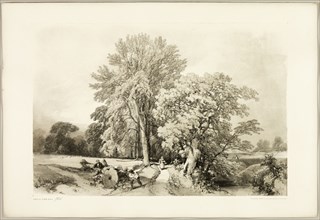 Abele and Oak, from The Park and the Forest, 1841.
