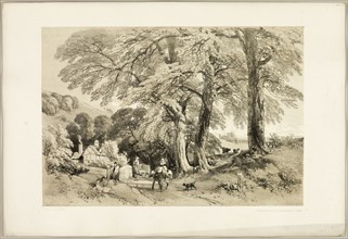Wych Elm, from The Park and the Forest, 1841.