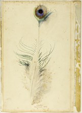 Peacock Feather, 1877.