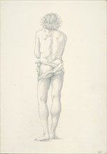 Back View of Standing Male Nude, c. 1873-77.