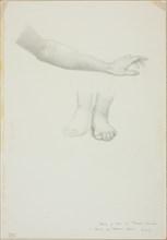 Arm and Feet, study for Mirror of Venus, c. 1873-77.