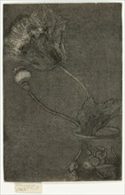 Poppy in a Vase, 1890-95.