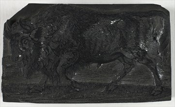 Woodblock for The Urus or Wild Bull, from A General History of Quadrupeds, c. 1790.