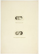 Study for a plate from The Triumphs of Temper, in the 1796 Royal Engagements Pocket Book, c. 1795.