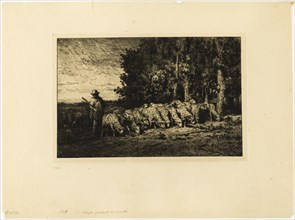 Flock of Sheep at the Edge of a Wood, 1877.