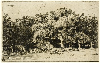 A Part of the Forest of Fontainebleau, 1849.