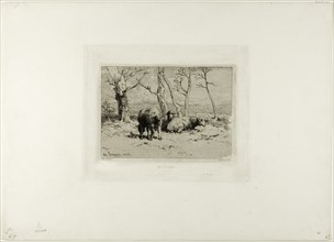 Sheep, 1868.