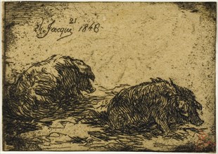 Two Pigs Lying Down, 1846.