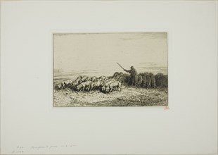 Herd of Pigs, 1850.