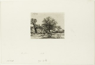 Trees and Cows near a Pond, 1850.