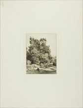 Landscape with Cowherd, c. 1865.