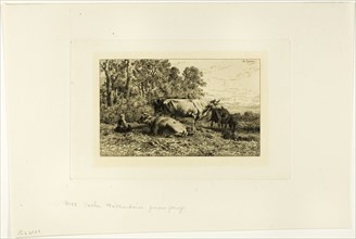 Dutch Cows, c. 1865.