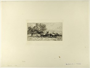 Team of Oxen, 1868.