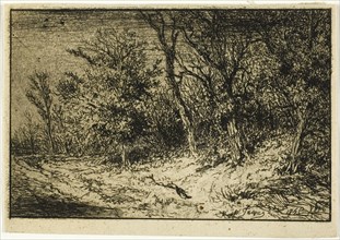 Road at the Edge of a Wood, 1846.