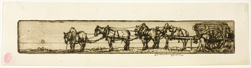 Draught Horses, 1906.