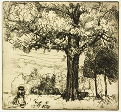 The Great Oak, 1907.