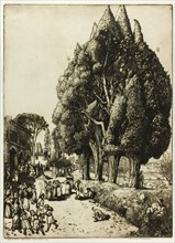 Cypress Grove, 1904.