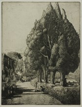 The Cypress Grove, 1904.