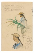 Sketches of Figures, Pandanus Leaf, and Vanilla Plant, 1891/93.