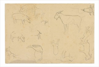 Sketches of Various Animals and Head (recto), Sketches of a Head, Figure in Profile, Anatomical Details, and Animals (verso), 1891/93.