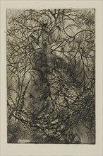 Tree Branches, n.d.