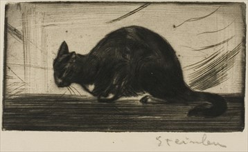 Cat Arching Its Back, 1898.