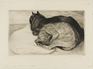 Two Cats on a Cushion, 1914.