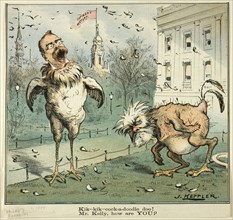 Kik-kik-cock-a-doodle doo! Mr. Kelly, how are YOU?, from Puck, published November 12, 1884.