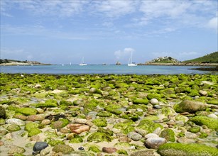 Gugh, St Agnes, Isles of Scilly, 2009. Creator: Mike Hesketh-Roberts.