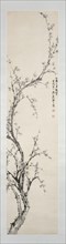 Prunus branch, 16554. Creator: Yu Shaosong.
