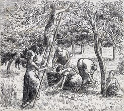 Compositional study of female peasants harvesting apples, 1845 - 1903. Creator: Camille Pissarro.