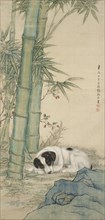 Dog beneath bamboo, 1931. Creator: Zhang Qizong.