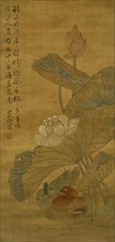 Lotus and ducks, Qing Dynasty (1645 - 1911). Creator: Watanabe Shiko.