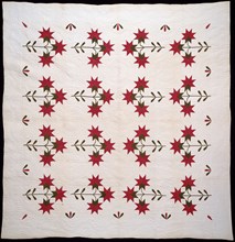 Bedcover (North Carolina Lily Quilt), United States, c.1850. Creator: Unknown.