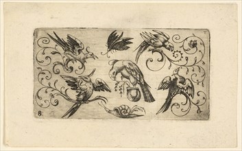 Ornament Panels with Birds: Plate 8, 1617. Creator: Adrian Muntink.