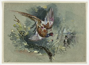 Pheasant and Hunter, 1825-1877. Creator: Charles B Newhouse.