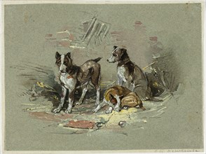 Three Dogs in an Alley, 1825-1877. Creator: Charles B Newhouse.