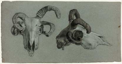 Rams' Skulls, n.d. Creator: George Hayter.